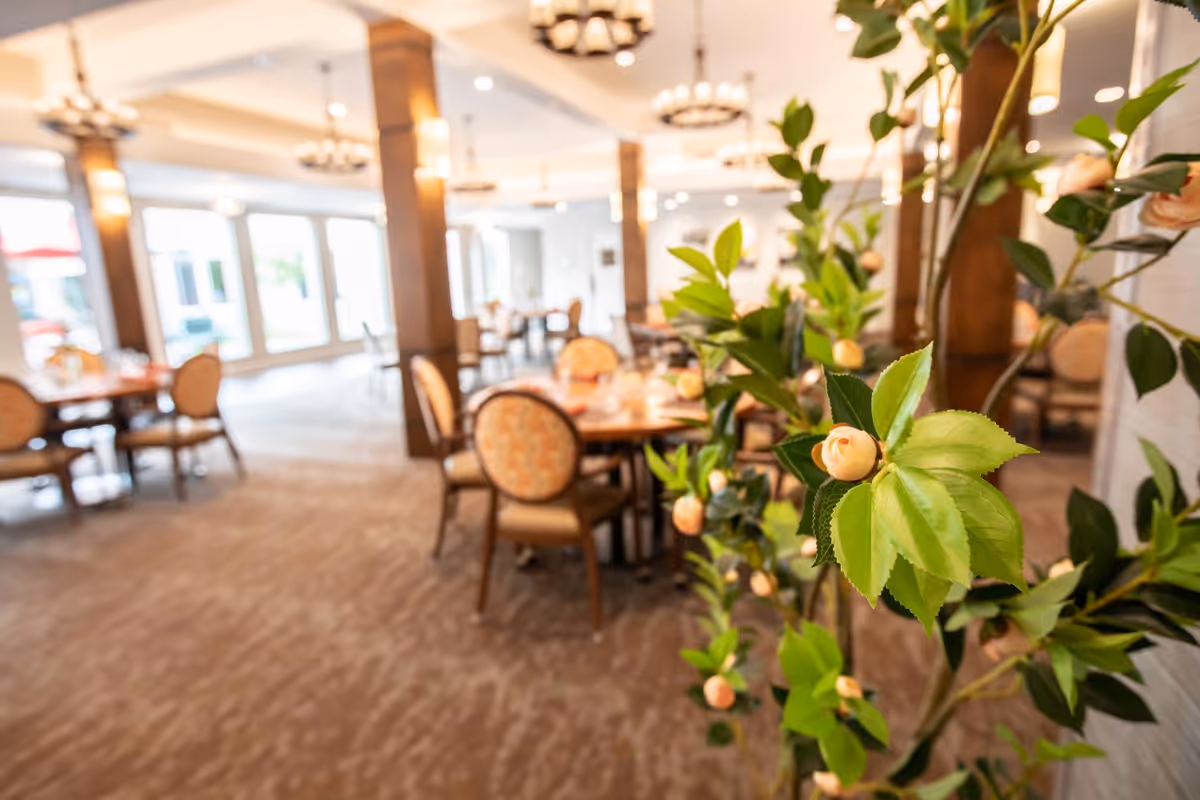 Interior view of a dining room in a senior living facility with round tables and cushioned chairs. The room is well-lit with large windows and decorative chandeliers. A plant with green leaves and small peach-colored buds is in the foreground.