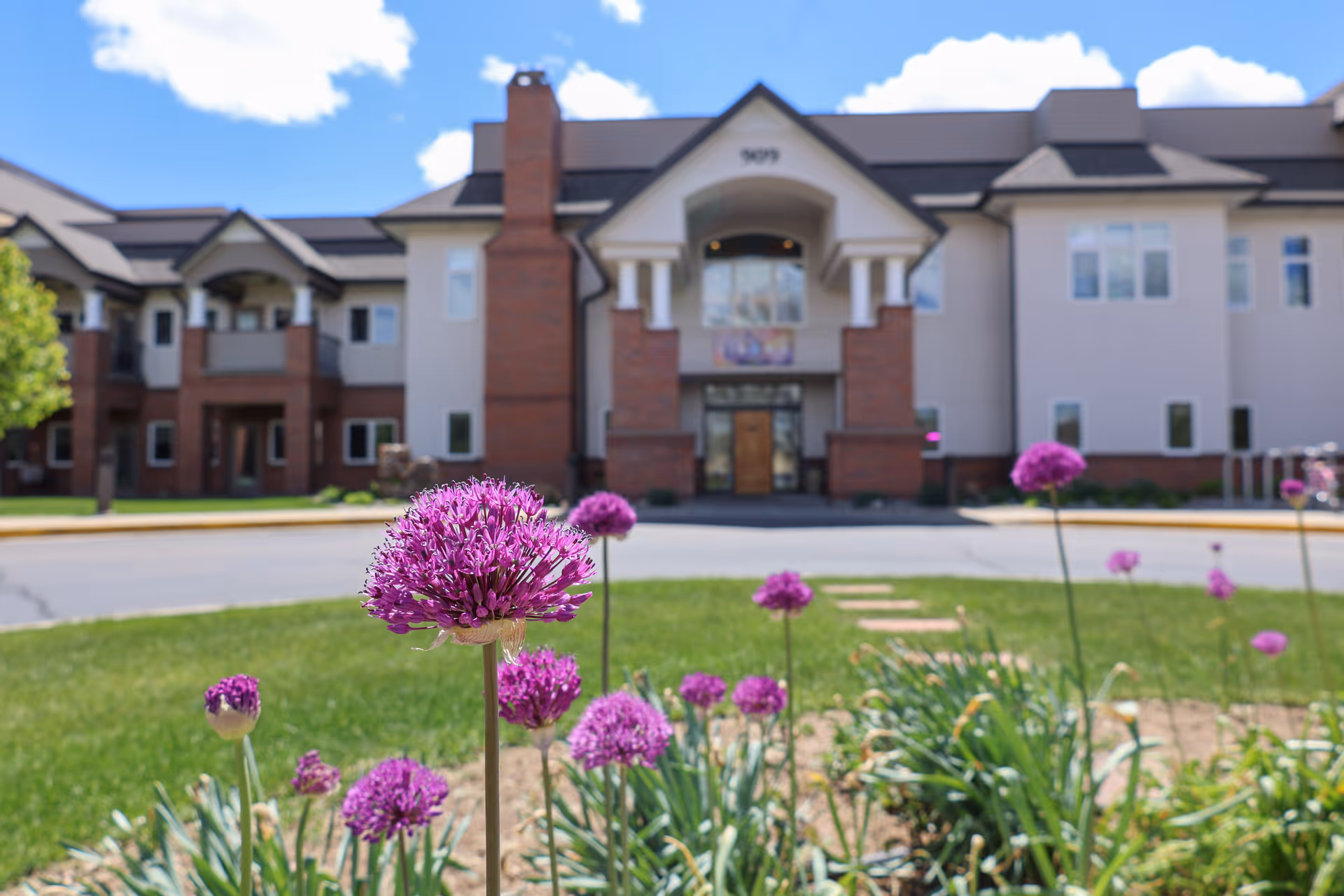 Close-up of purple flowers in a garden bed with a large two-story building in the background under a blue sky with some clouds.