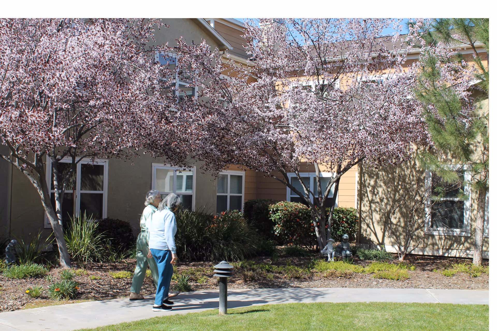 Two elderly women walking on a paved pathway in a garden area with blooming trees and shrubs, adjacent to a residential building with beige and light brown exterior walls and several windows.