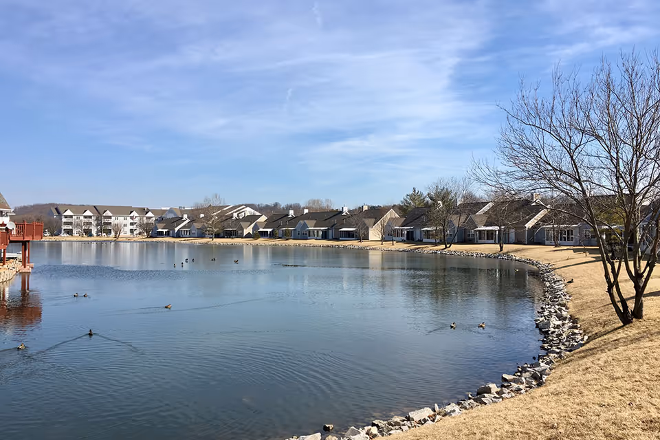 A serene outdoor view of a pond surrounded by a rocky shoreline and dry grass, with several ducks swimming in the water. In the background, there are multiple residential buildings under a clear blue sky.