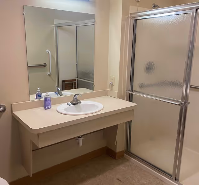 A bathroom with a beige countertop and white sink, a large mirror above the sink, a soap dispenser and hand sanitizer on the counter, a grab bar on the wall, and a shower with frosted glass sliding doors.