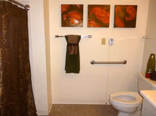 Bathroom with a toilet, a towel rack holding a green towel with a brown accent, a brown patterned shower curtain, three framed artworks with red and orange abstract designs on the wall, a grab bar next to the toilet, and a green decorative vase on the toilet tank.