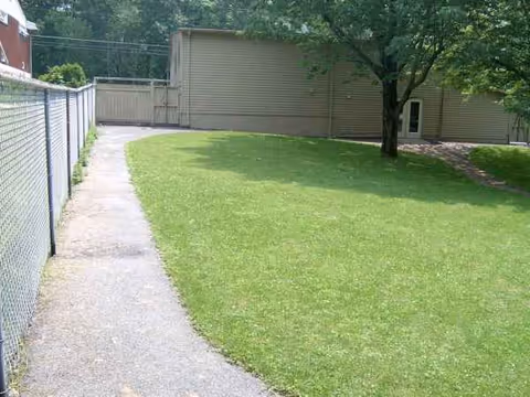 Sunlit exterior yard with green lawn, tree, chain-link fence, and beige building.