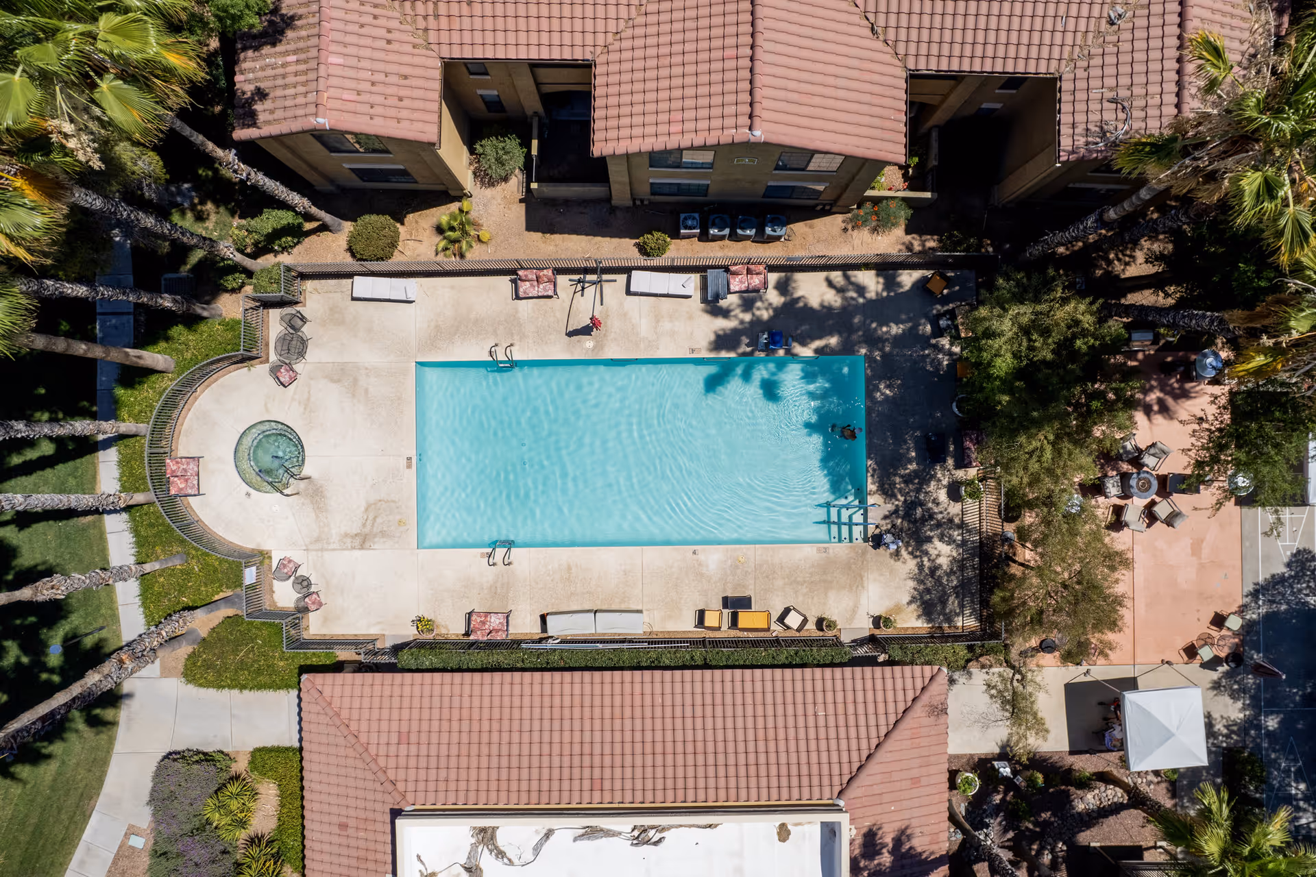 Aerial view of a rectangular outdoor swimming pool with an adjacent circular hot tub, lounge chairs, surrounding buildings, and palm trees.