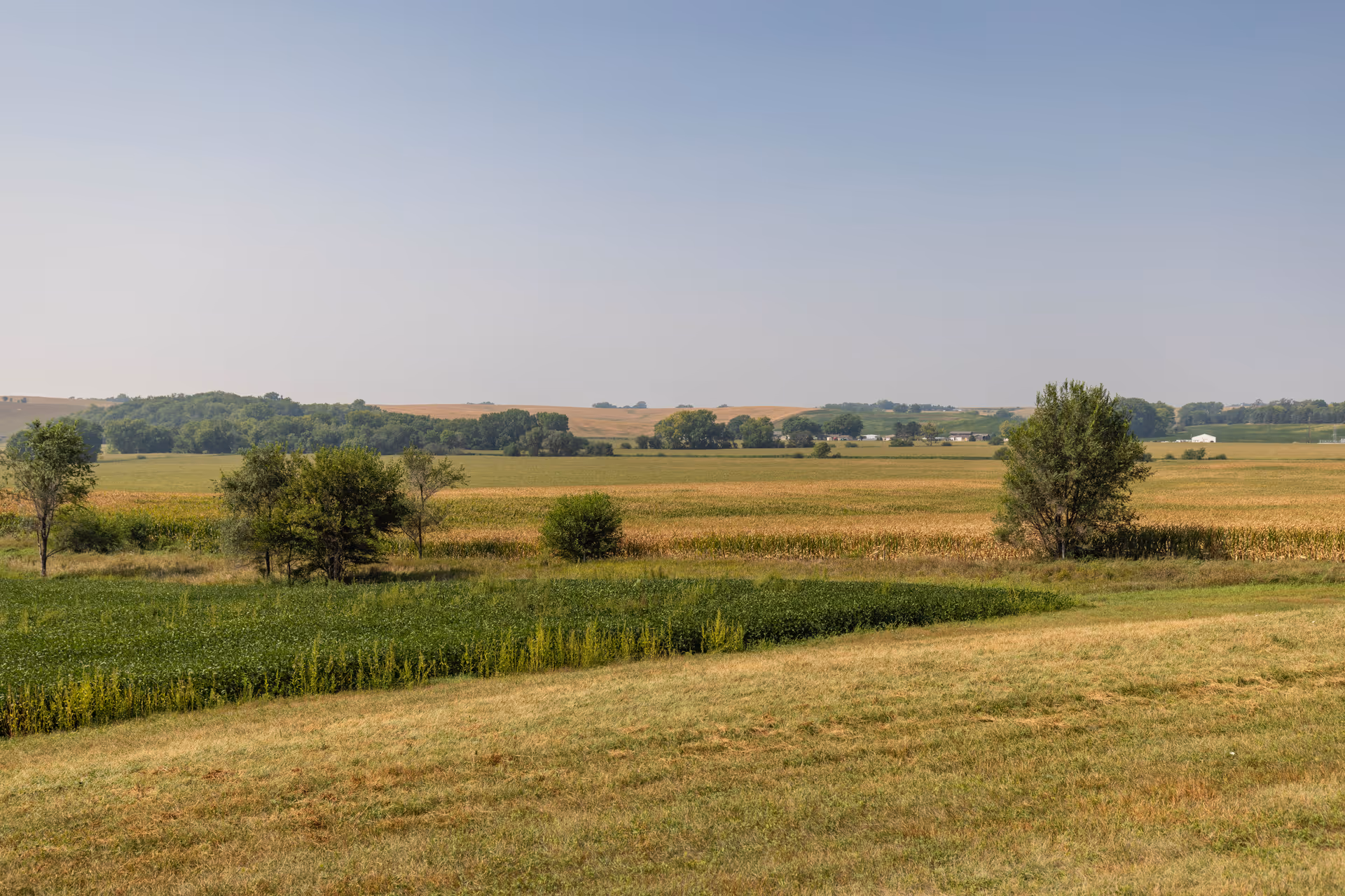 A wide open rural landscape with grassy fields, scattered trees, and distant farmland under a clear blue sky.