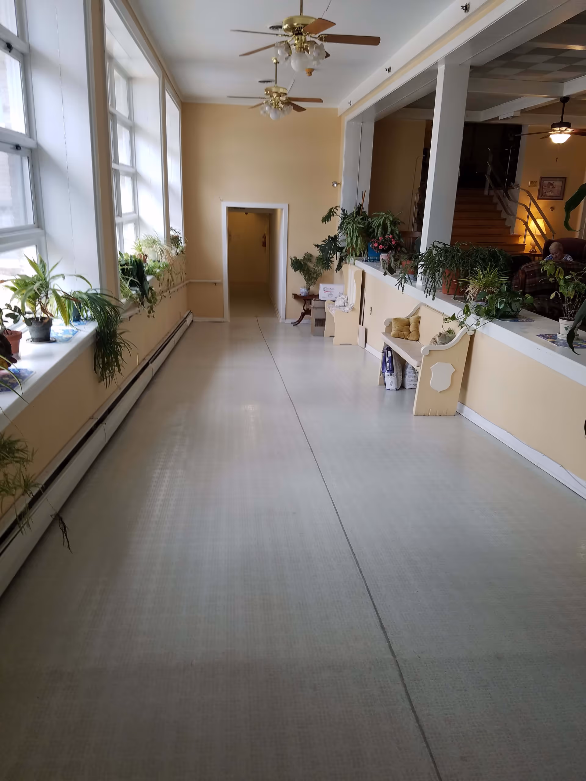 A long indoor hallway with large windows on the left side letting in natural light. The windowsills are lined with various potted plants. On the right side, there is a half wall with more plants and a bench with cushions. Ceiling fans with lights hang from the ceiling. In the background, there is a staircase and a person sitting on a chair in a common area.