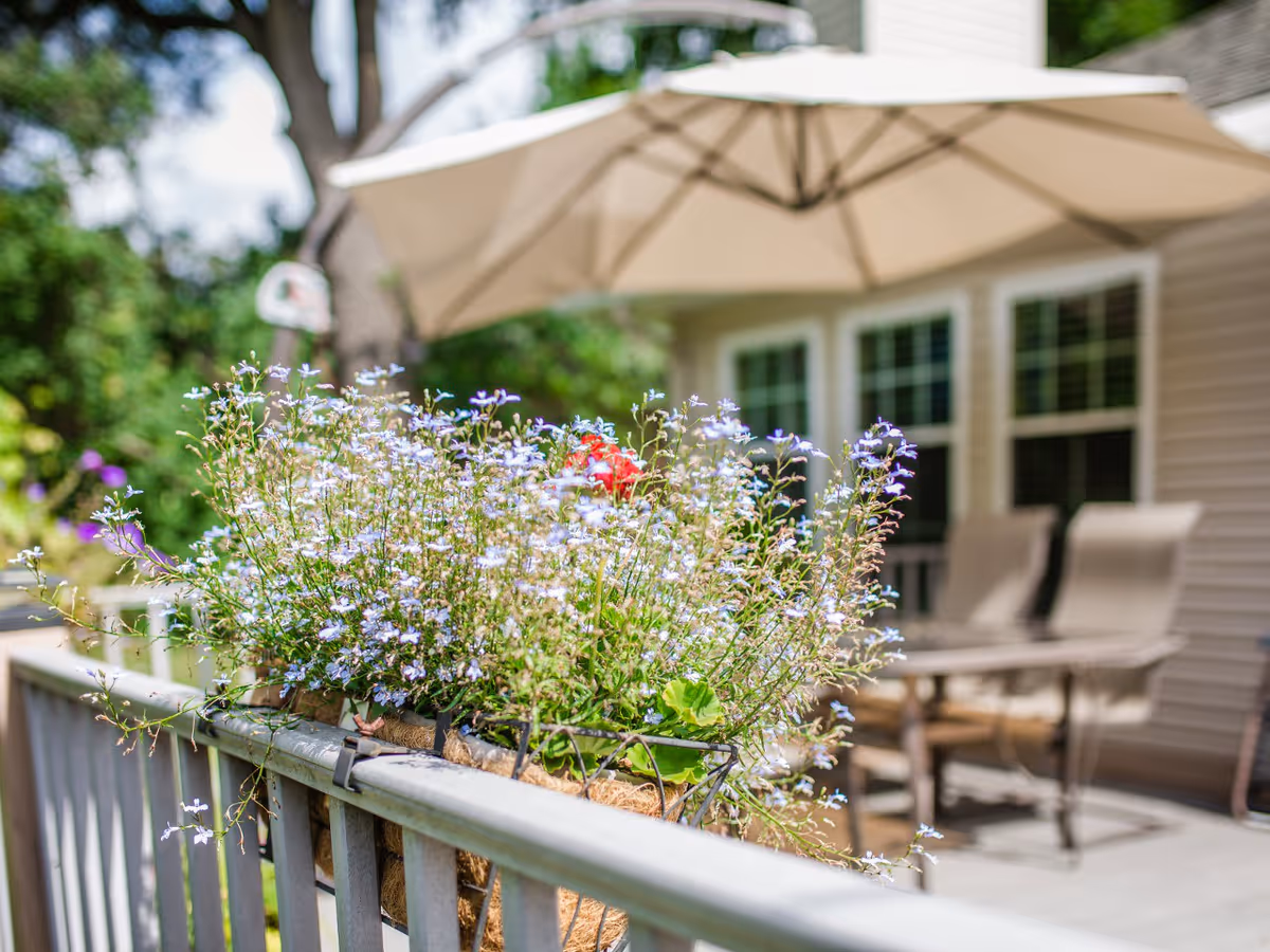 Close-up of a flower box with small purple and white flowers on a railing, with a patio area in the background featuring a large beige umbrella, two cushioned chairs, and a table in front of a building with windows.