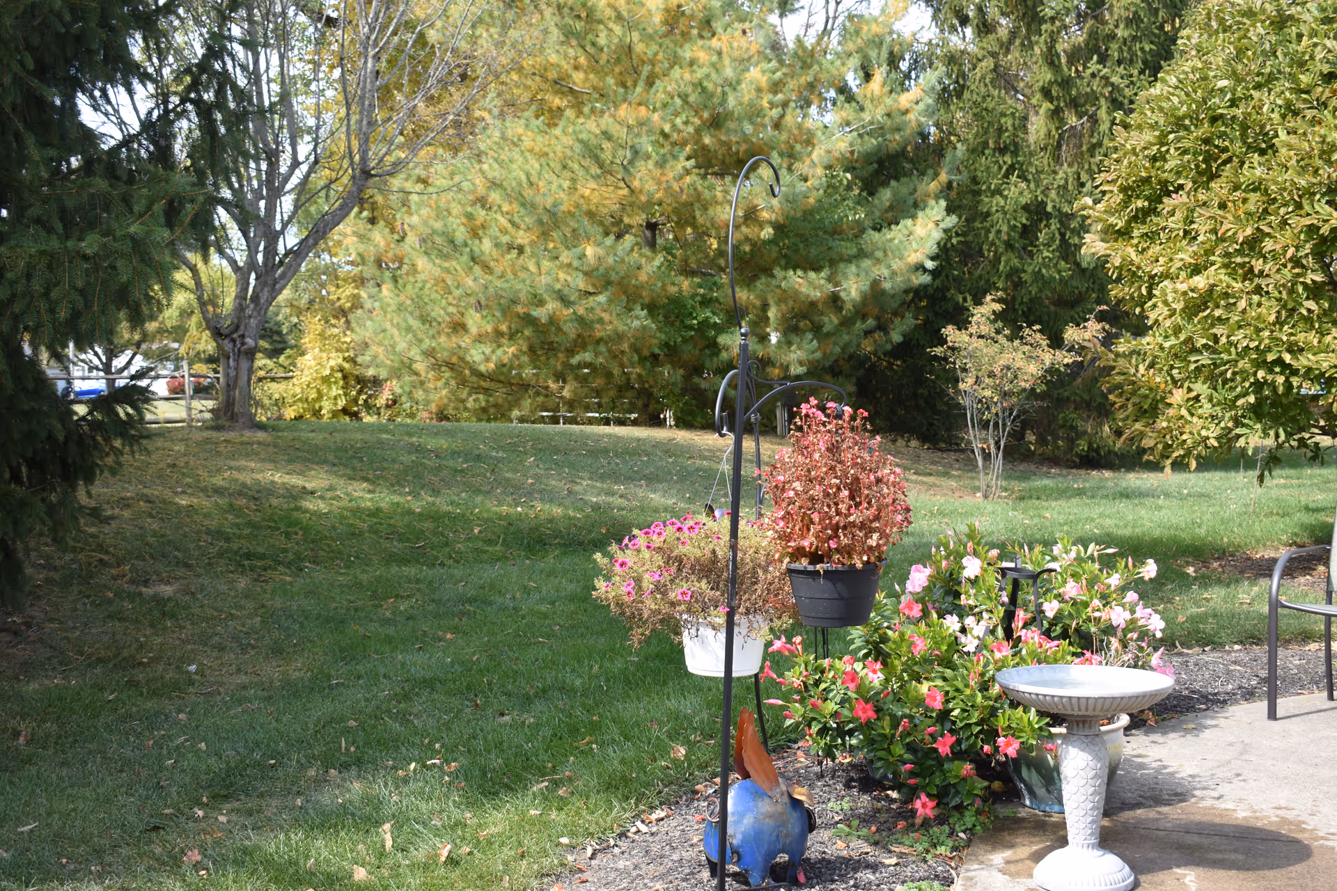 A garden area with green grass, various trees, and flowering plants. There are hanging flower pots on a metal stand and a white birdbath on a paved surface. The scene is outdoors with natural sunlight.