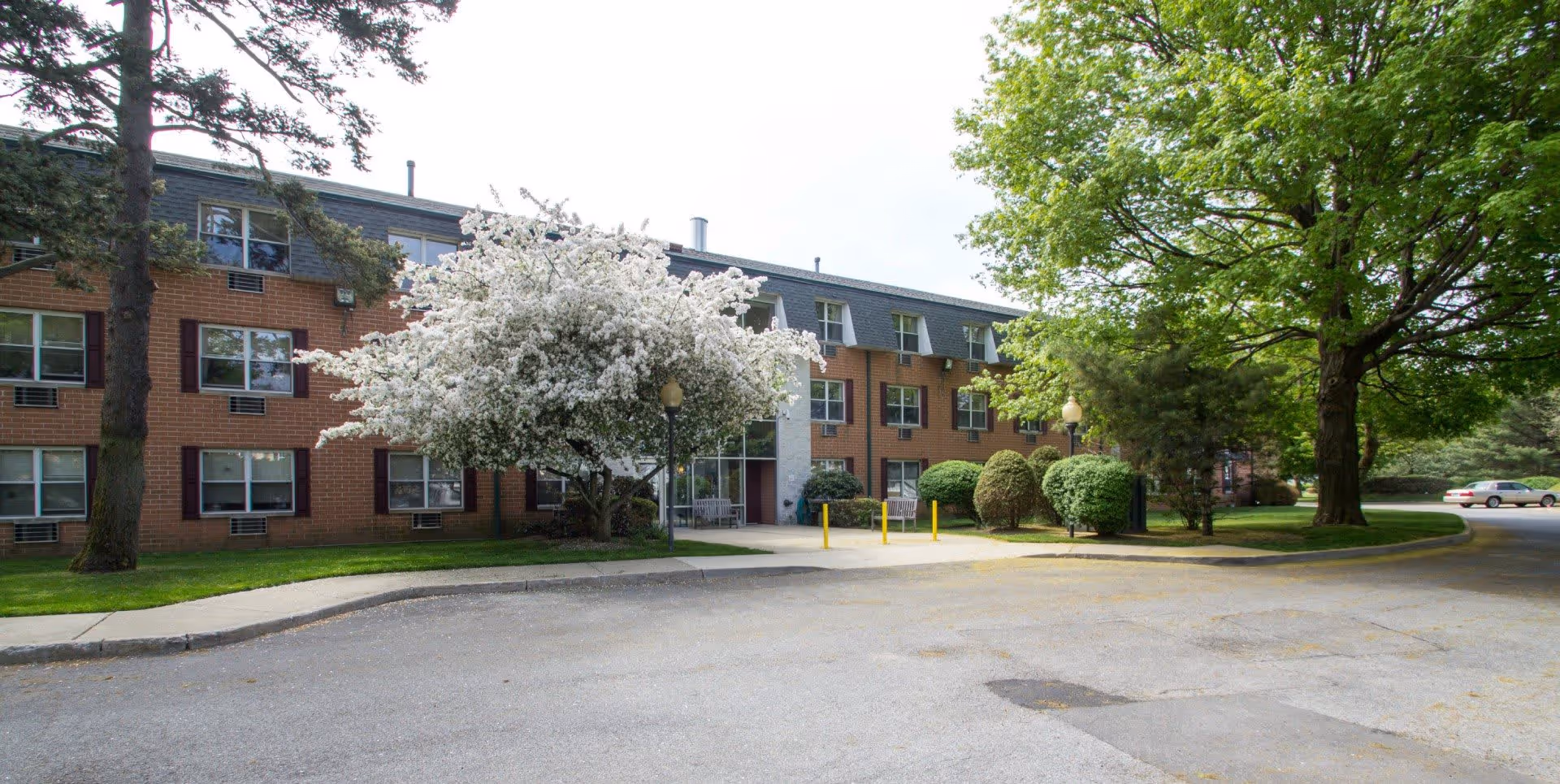 Exterior view of a three-story brick building with multiple windows, surrounded by green trees and bushes. A white flowering tree is prominently visible near the entrance, which has benches and yellow bollards. A car is parked on the right side near the driveway.