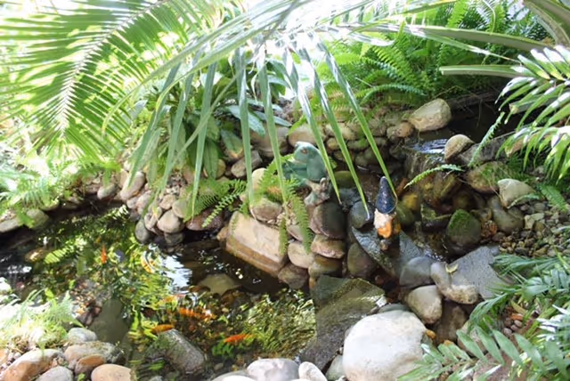A small indoor garden pond surrounded by rocks, ferns, and various green plants with a small frog and gnome figurine near the water.