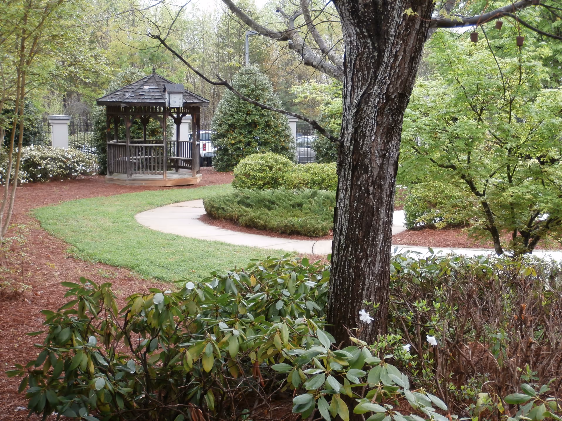 A peaceful outdoor garden area with a wooden gazebo, surrounded by green bushes, trees, and a curved concrete pathway. The ground is covered with mulch and grass, and there are some white flowers visible among the foliage.