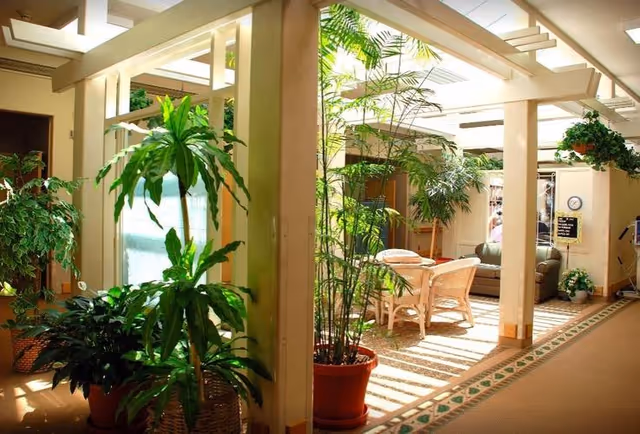 A bright indoor common area with large potted plants, wicker chairs around a table, and a green couch in the background. The space is illuminated by natural light coming through skylights in the ceiling, with beige walls and a patterned carpet.