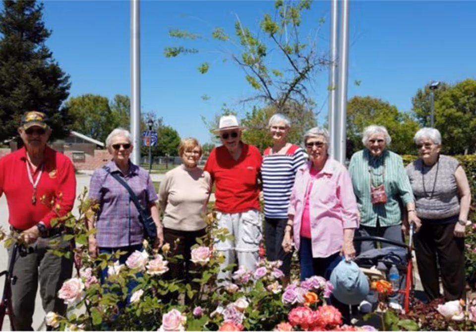 A group of seven elderly people standing outdoors behind a garden bed filled with blooming pink and white roses. They are smiling and enjoying a sunny day with clear blue skies and trees in the background.