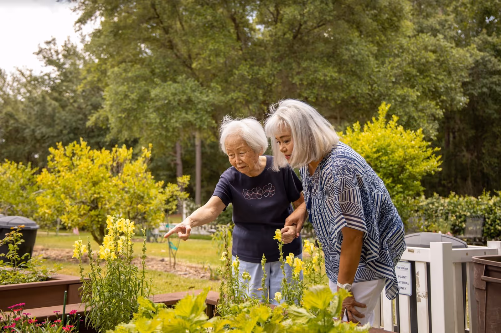 Two elderly women in a garden at The Village at Gainesville, one pointing at yellow flowers while the other looks on attentively, surrounded by greenery and trees.