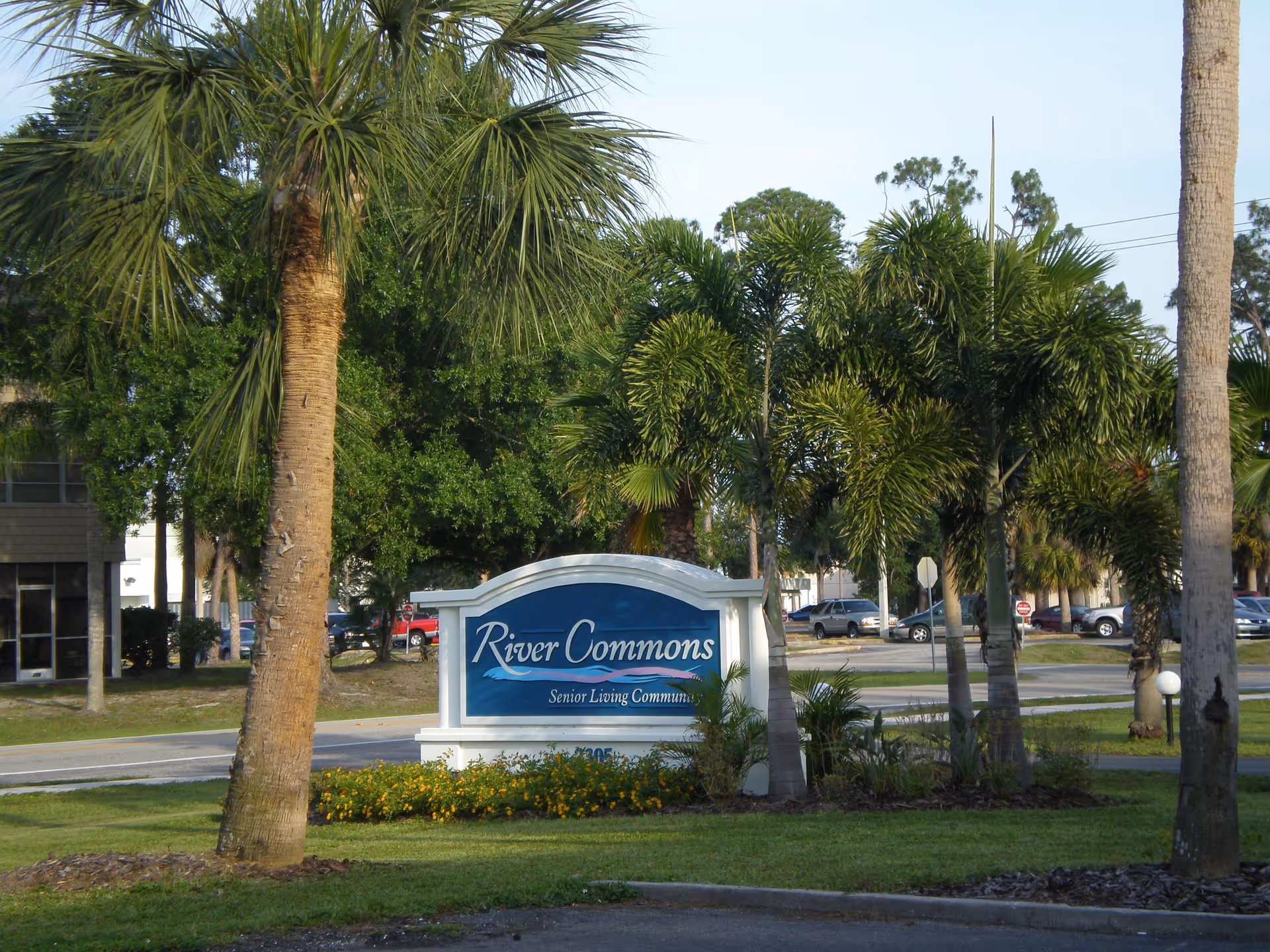 Outdoor view of the entrance sign for River Commons Senior Living Community surrounded by palm trees and greenery with a road and parked cars in the background.