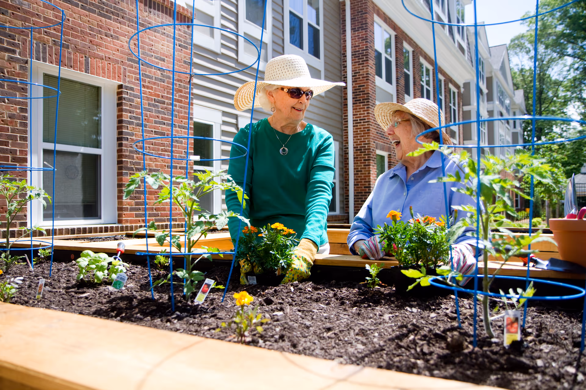 Two elderly women wearing sun hats and gardening gloves are planting flowers and vegetables in a raised garden bed outside a brick and siding building on a sunny day.
