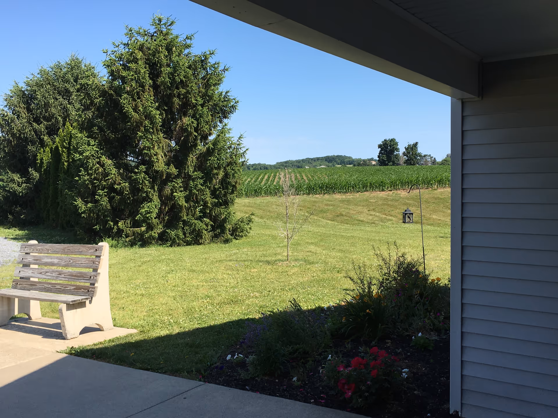 View from a covered patio area looking out onto a grassy lawn with a wooden bench on a concrete path, a flower bed with colorful flowers, several large evergreen trees, and a field of crops in the distance under a clear blue sky.