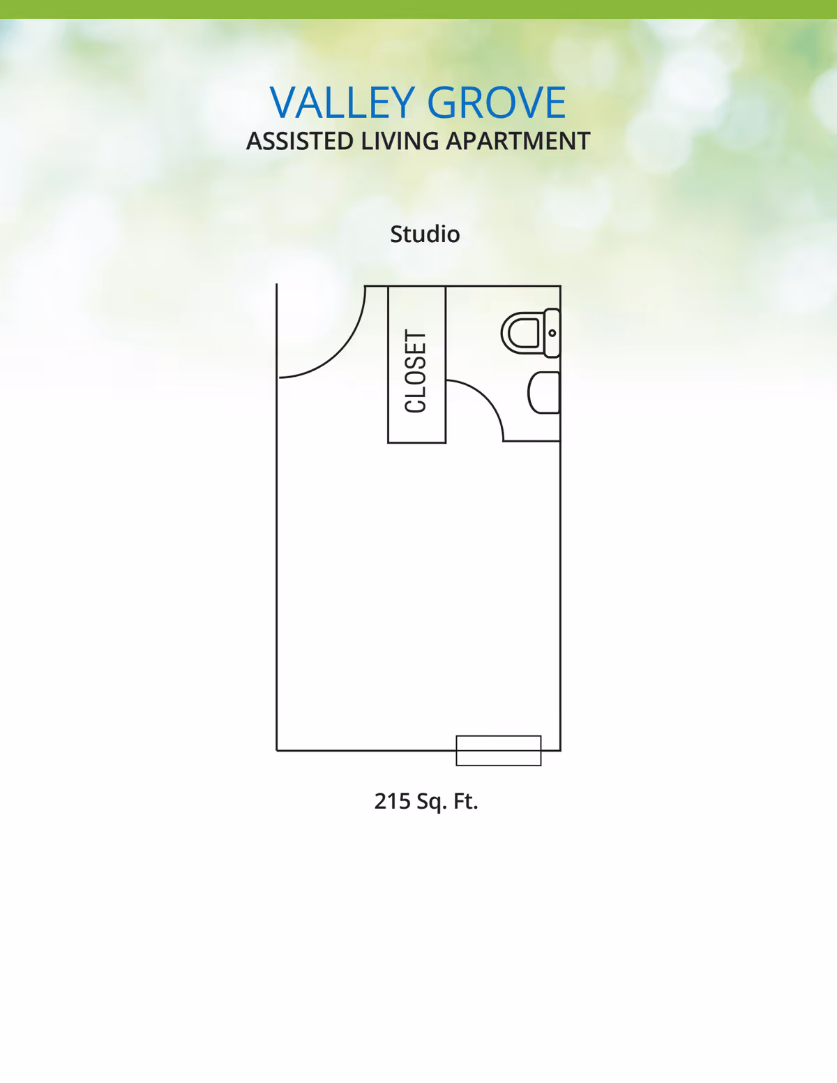 Floor plan of a studio assisted living apartment at Valley Grove, showing a main living area, a closet, and a bathroom, with a total area of 215 square feet.
