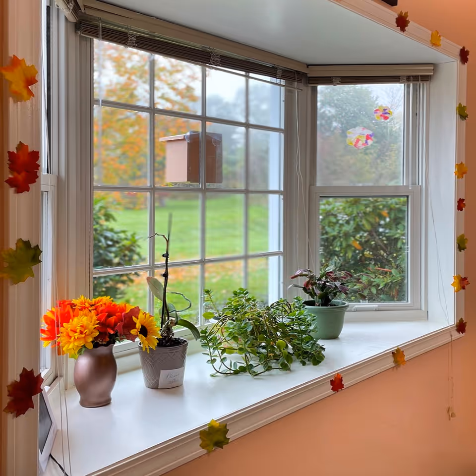 Bay window with potted plants and autumn leaf decorations on the windowsill overlooking a green lawn.