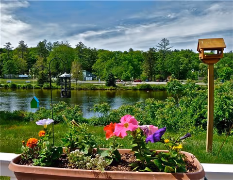 Flower planter in foreground with a pond and trees in a sunny outdoor area.
