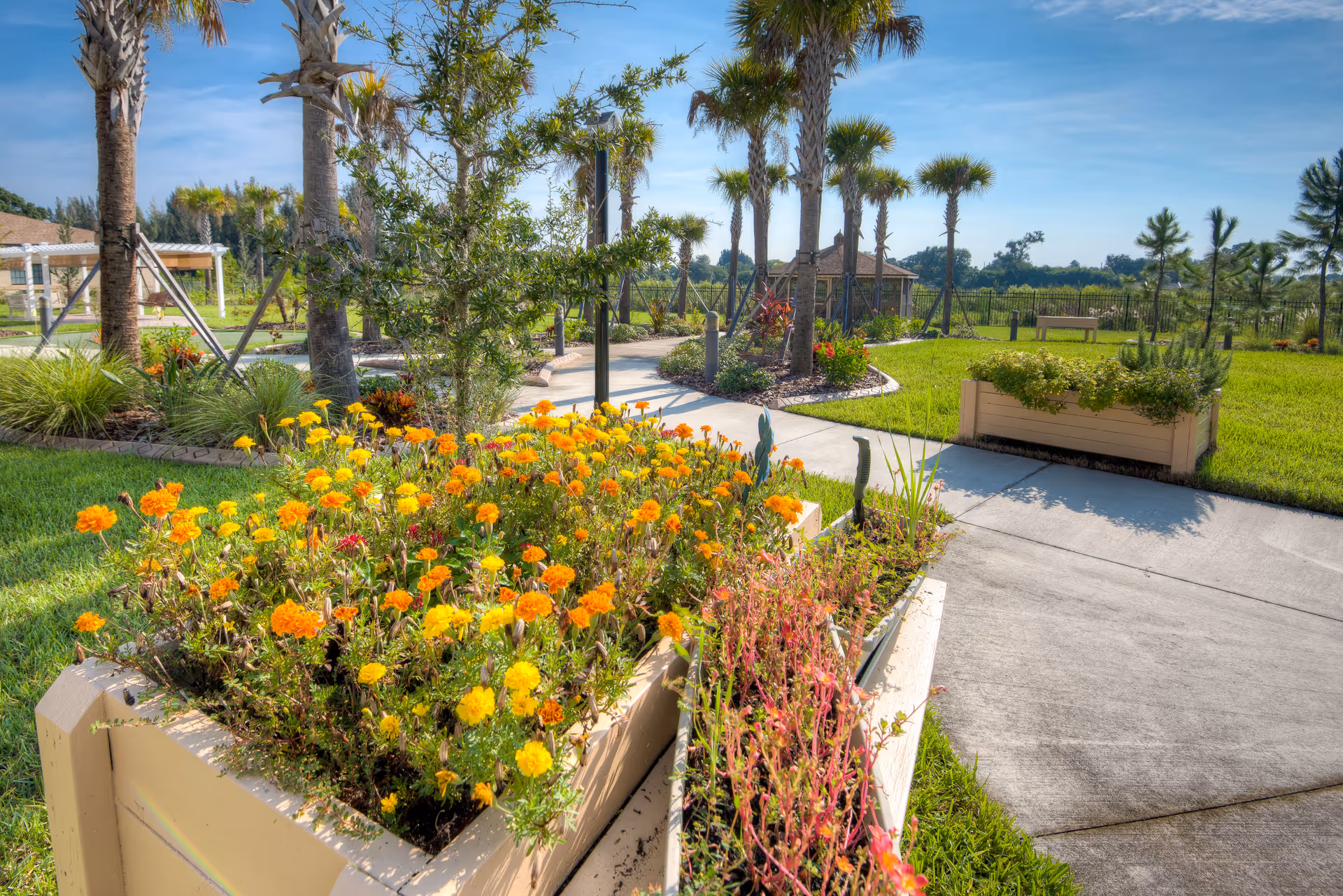 A sunny outdoor garden area with raised flower beds filled with vibrant yellow and orange flowers. There are palm trees and other greenery surrounding a paved walkway, with a bench and a gazebo visible in the background under a clear blue sky.