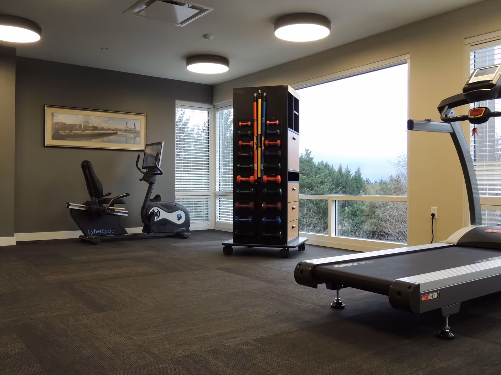 Exercise room with a treadmill, recumbent bike, and a rack of colorful dumbbells by large windows.