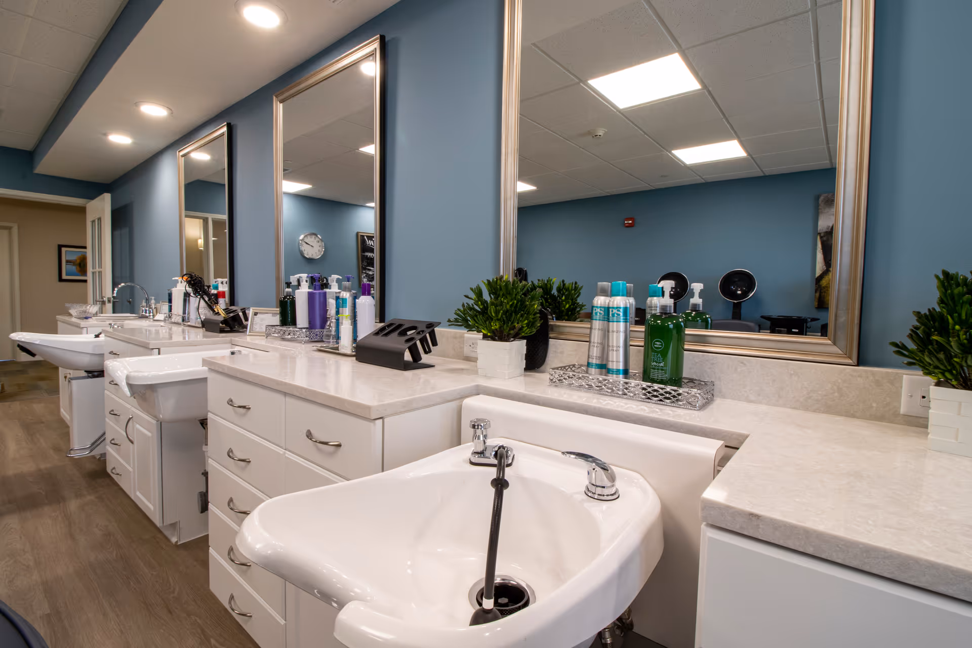 Interior view of a salon area with multiple white sinks and mirrors mounted on a blue wall. The countertop holds various hair care products and small green plants. The floor is wooden, and the ceiling has recessed lighting.