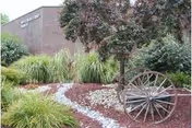Landscaped front area of Westmoreland Manor with shrubs, a decorative wagon wheel, and a white-stone path along the building exterior.