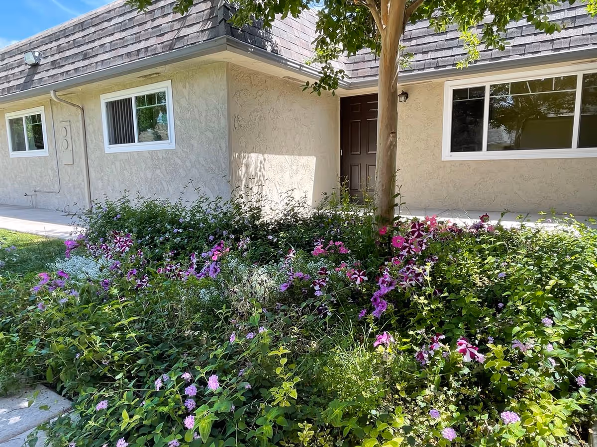 Exterior view of a beige stucco building with a dark brown door and white-framed windows. In front of the building is a garden bed filled with green plants and various purple and white flowers. A tree trunk is visible among the plants, and the sky is clear and blue.