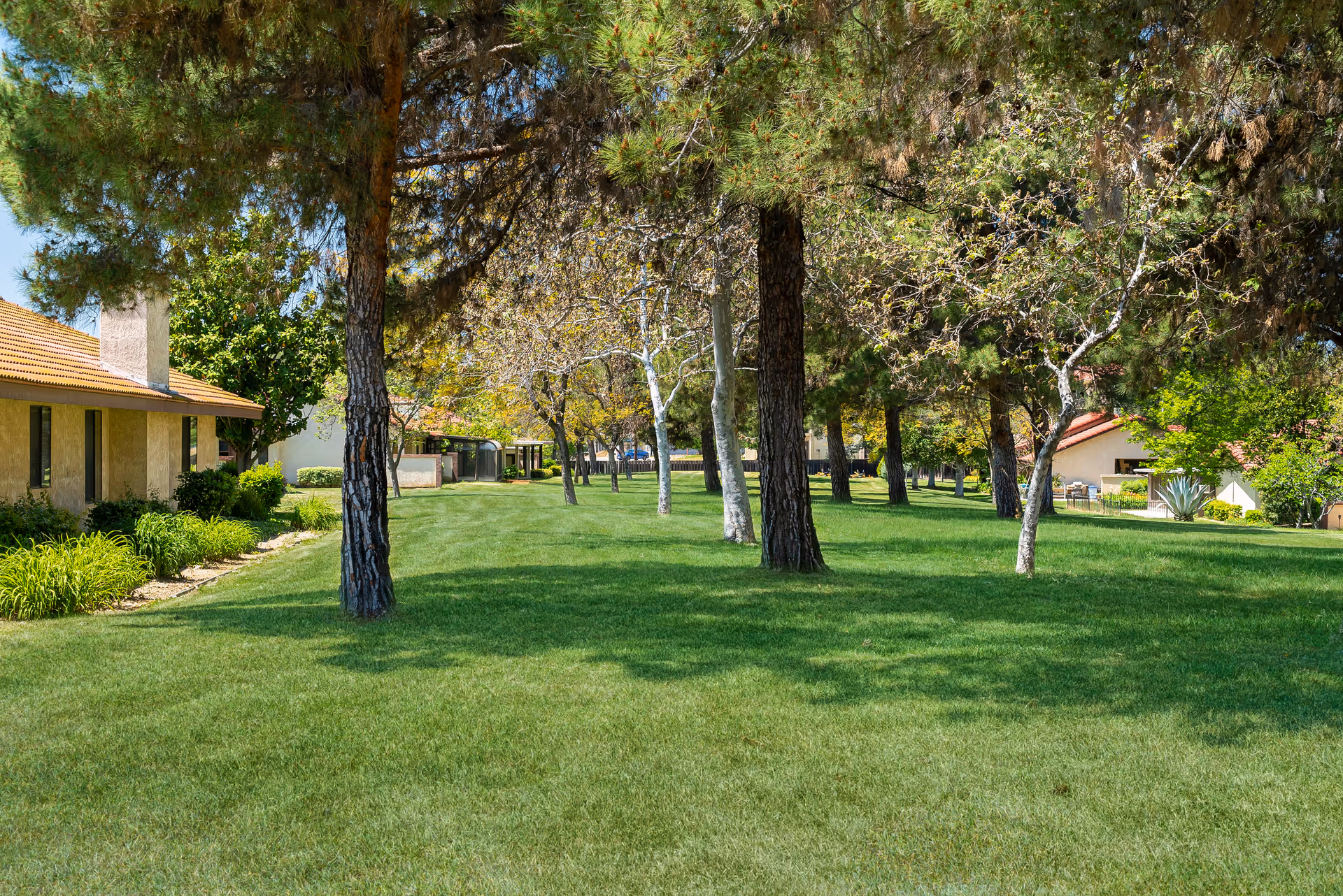 A grassy outdoor area with several trees providing shade. There are buildings with beige walls and red-tiled roofs on the left and right sides of the image. The scene is bright and sunny, suggesting a well-maintained garden or lawn area within a facility.