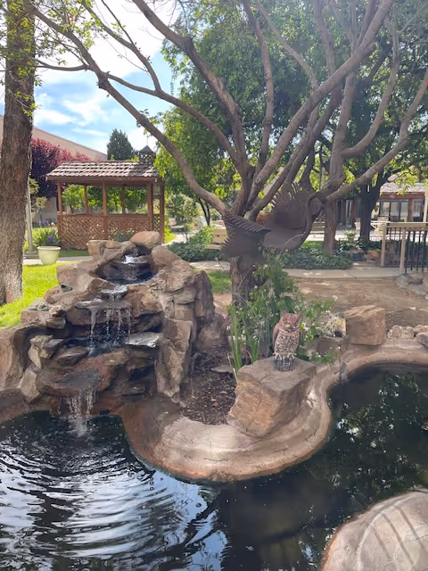 Outdoor garden area featuring a small rock waterfall flowing into a pond, surrounded by trees and greenery. A decorative owl statue is perched on a rock near the pond. In the background, there is a wooden gazebo and other garden structures under a partly cloudy sky.