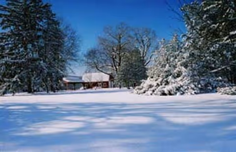 Snowy landscape with leafless trees and a distant red building.