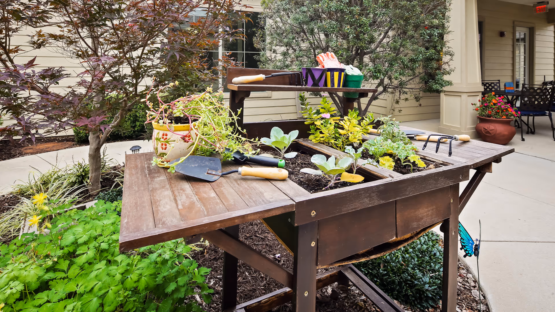 Raised wooden planter table with small plants, pots, and gardening tools in a courtyard beside a building.