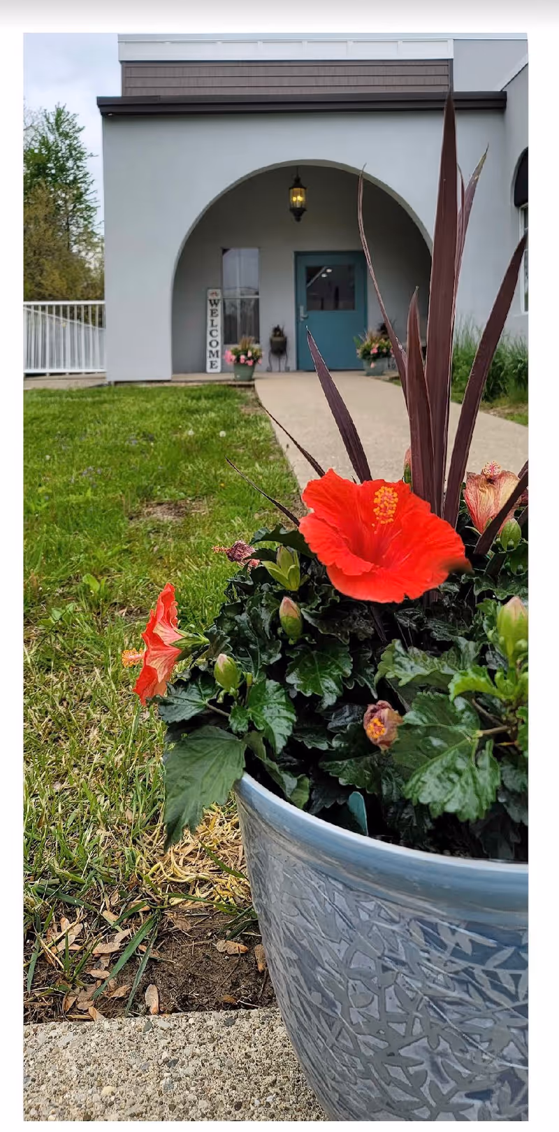 Potted red hibiscus in the foreground with a walkway leading to an arched building entrance displaying a 'WELCOME' sign.