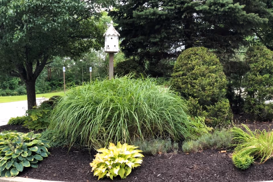 A landscaped garden area with various green plants and shrubs, including a large ornamental grass bush, smaller leafy plants, and a birdhouse mounted on a wooden post. Trees and a grassy lawn are visible in the background.