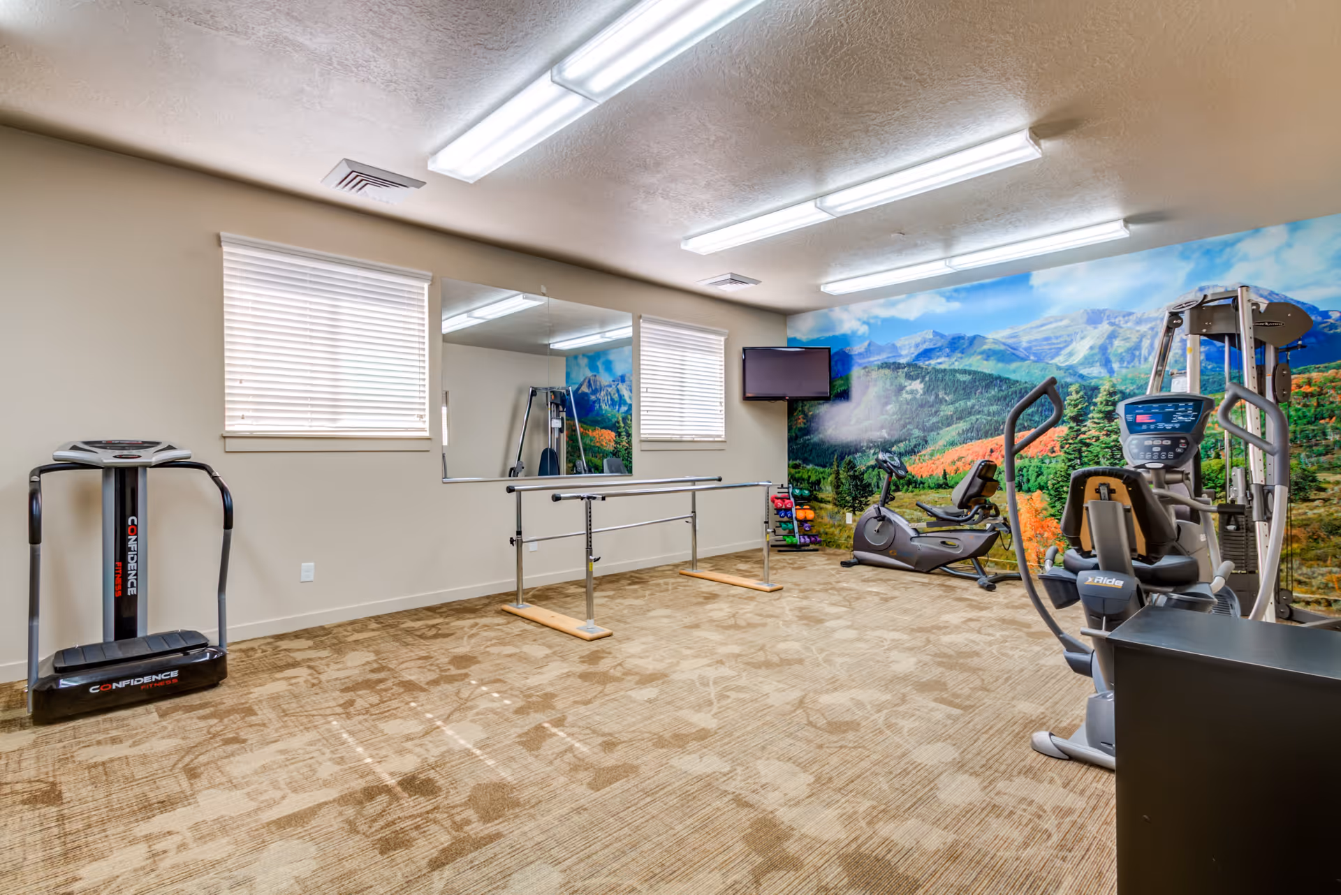 A senior living facility exercise room with various fitness equipment including a vibration plate machine, recumbent exercise bike, multi-gym machine, and a rack of colorful dumbbells. The room has beige carpet, beige walls, two windows with blinds, a large mirror, a ballet barre, and a wall mural depicting a scenic mountain landscape. A flat-screen TV is mounted on the wall.