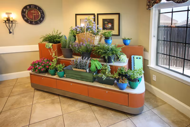 Tiered bench in a bright indoor common area displaying potted plants, a basket, gardening gloves, and wall decor by a window.