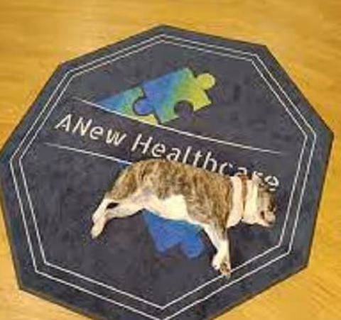 A dog lying down on a dark-colored octagonal rug with a puzzle piece design and the text 'ANew Healthcare' on it, placed on a wooden floor.