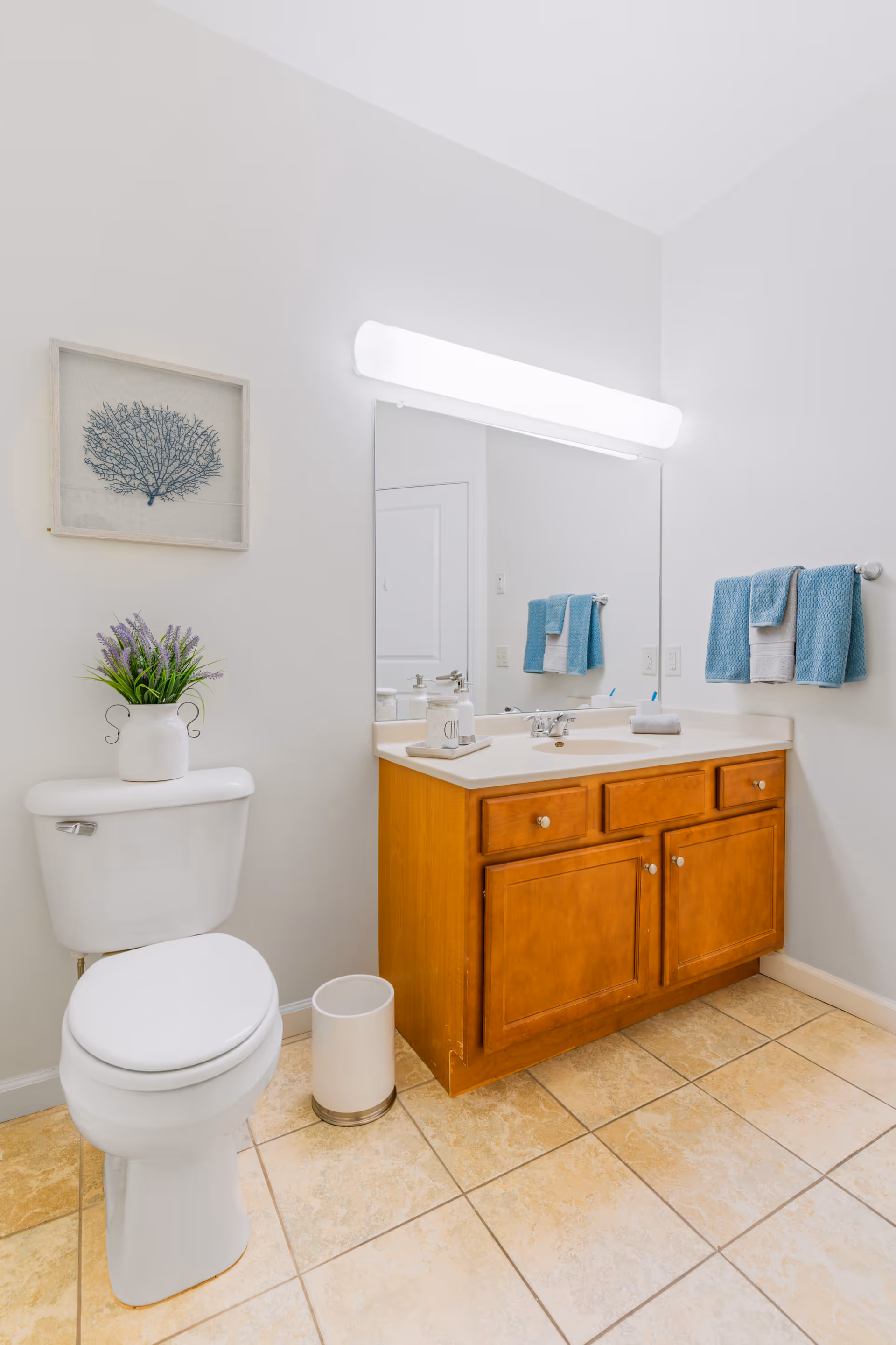 A clean bathroom with a toilet topped by a potted plant, a wooden vanity with sink and large mirror, and blue hand towels on the wall.