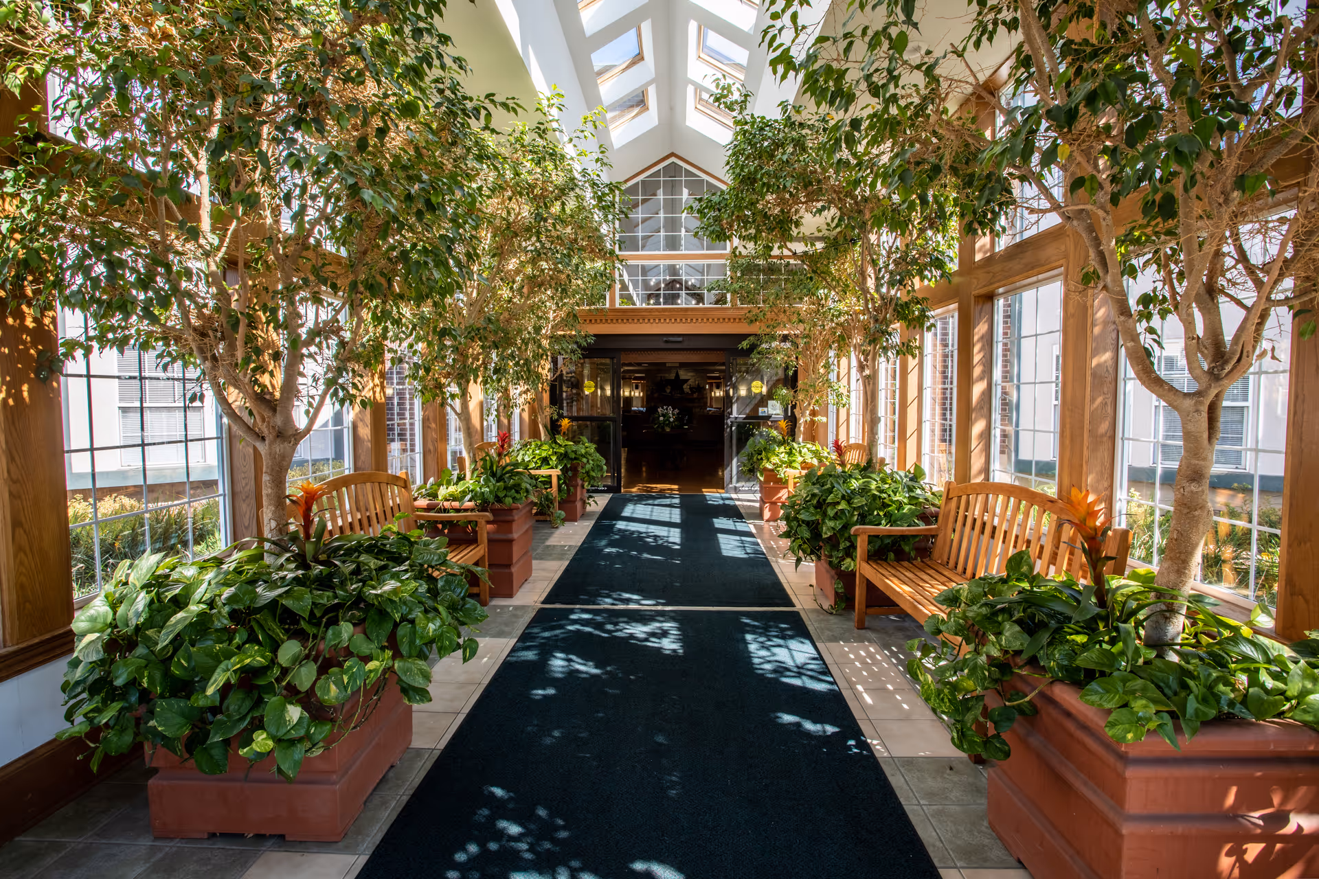 A bright indoor hallway with large windows on both sides, filled with lush green plants in large planters and wooden benches. The ceiling has skylights allowing natural light to illuminate the space, and a dark carpet runs down the center of the tiled floor leading to a doorway at the end.