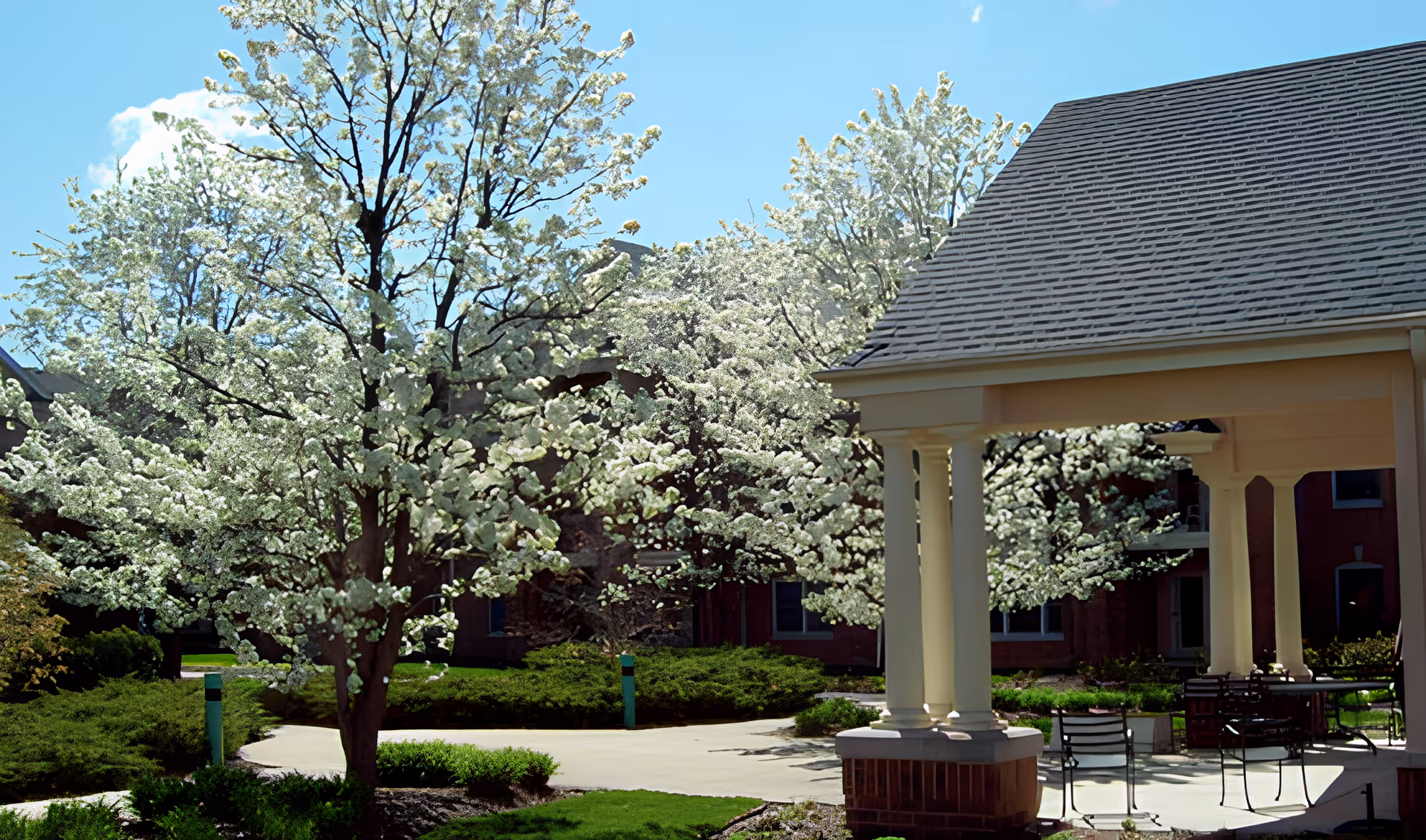 Outdoor garden area with blooming white flowering trees, green shrubs, and a covered patio with chairs and tables under a roof supported by white columns.