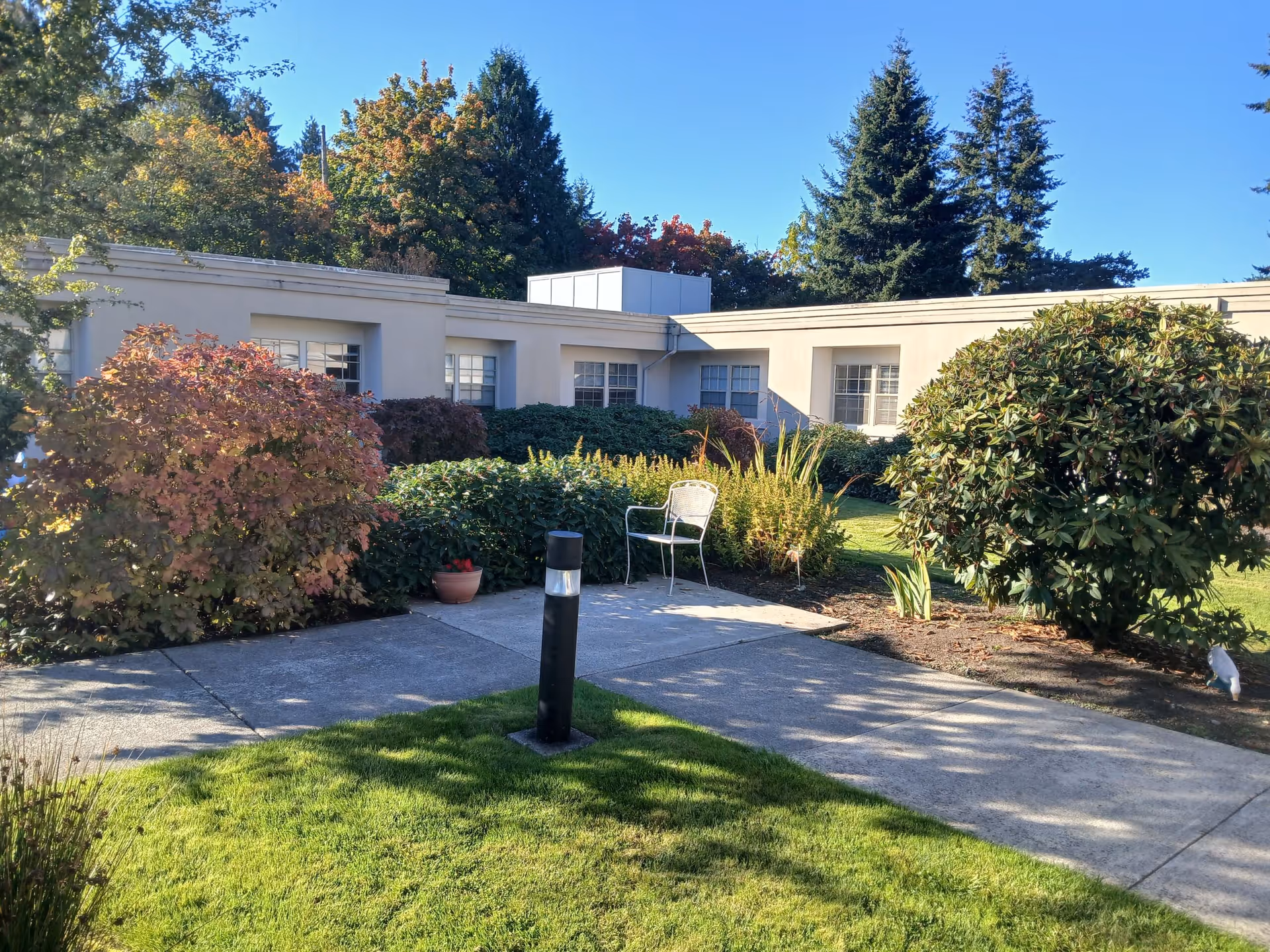 Sunny courtyard with a paved walkway, lawn, shrubs and a metal chair in front of a low white building.