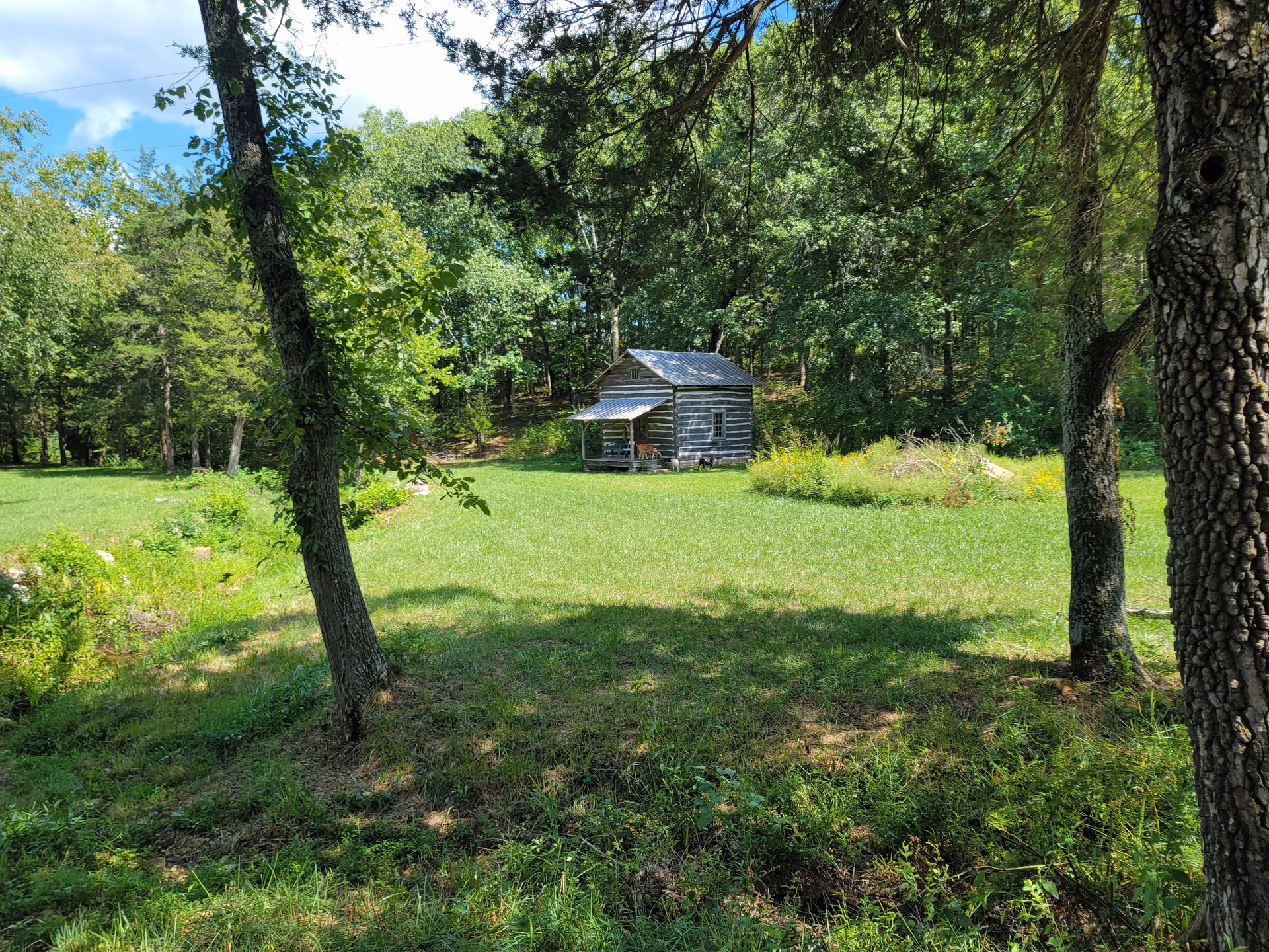 A small wooden cabin with a metal roof sits in a grassy clearing surrounded by trees under a partly cloudy sky.