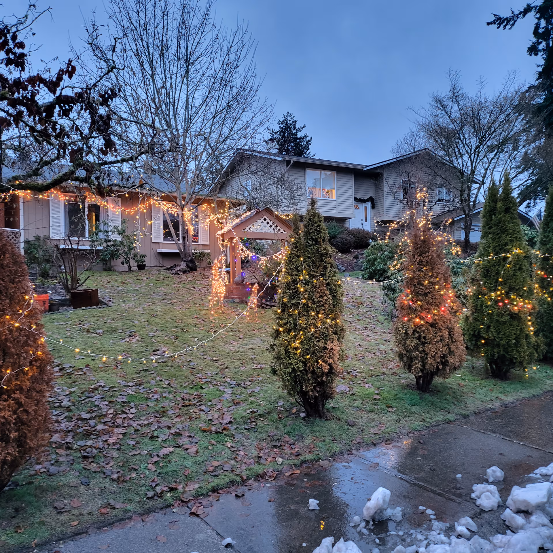 Exterior view of SincereCare Adult Family Home with string lights and decorated trees.