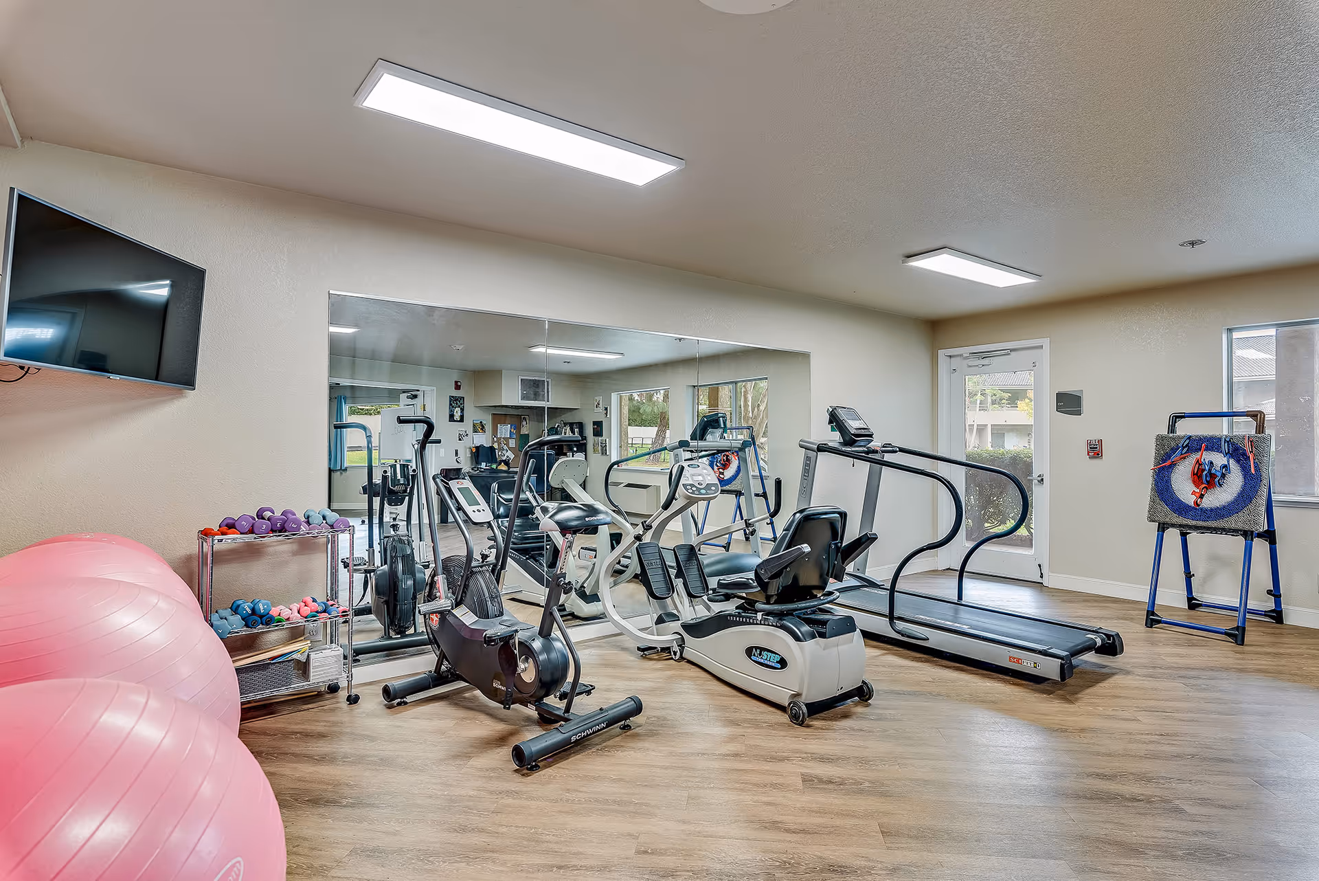 A senior living facility exercise room with various fitness equipment including a treadmill, stationary bike, recumbent bike, and a rack of small dumbbells. There are two large pink exercise balls in the foreground, a large mirror on the wall, a wall-mounted TV, and windows letting in natural light. The room has wood flooring and neutral-colored walls.