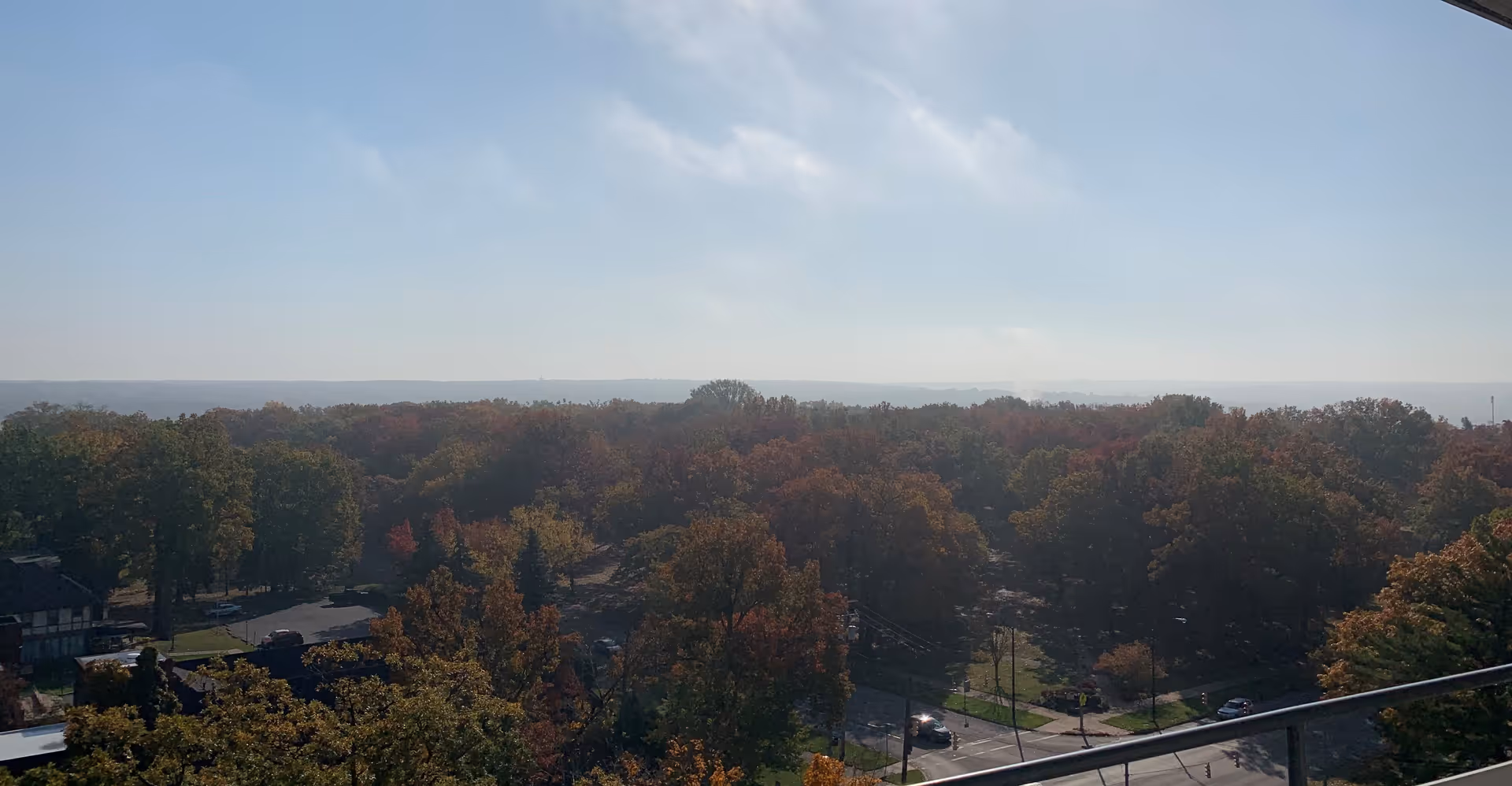 View from a high vantage point overlooking a large area of trees with autumn foliage under a clear blue sky. A few roads and cars are visible at the bottom of the image.
