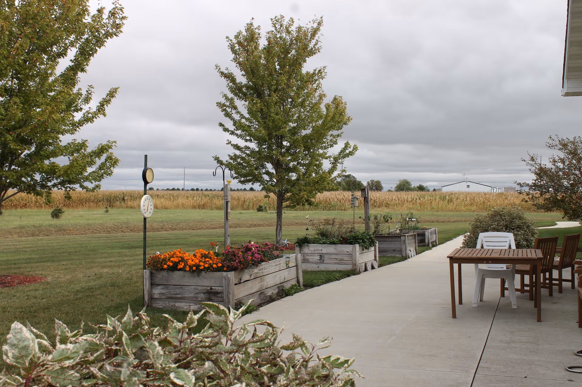 Outdoor patio area with wooden tables and chairs on a concrete walkway next to raised garden beds filled with flowers and plants. Trees and a large grassy field with a cornfield in the background under a cloudy sky.
