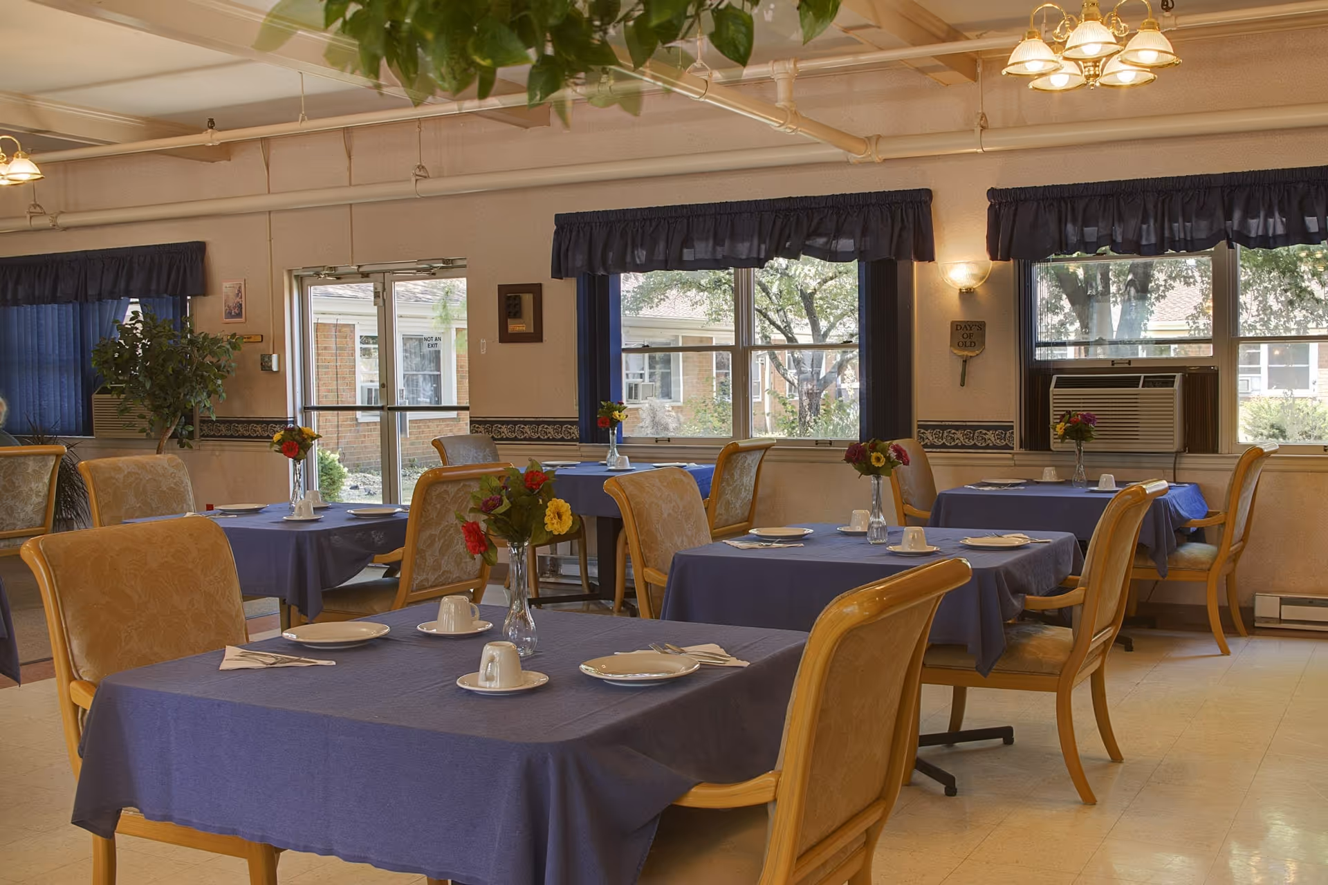 A dining room with several tables covered in blue tablecloths, each set with plates, cups, and silverware. The chairs have light wood frames and beige upholstery. There are windows with dark blue valances letting in natural light, and a few vases with colorful flowers on the tables. The room has a cozy and inviting atmosphere with ceiling lights and some greenery visible outside the windows.