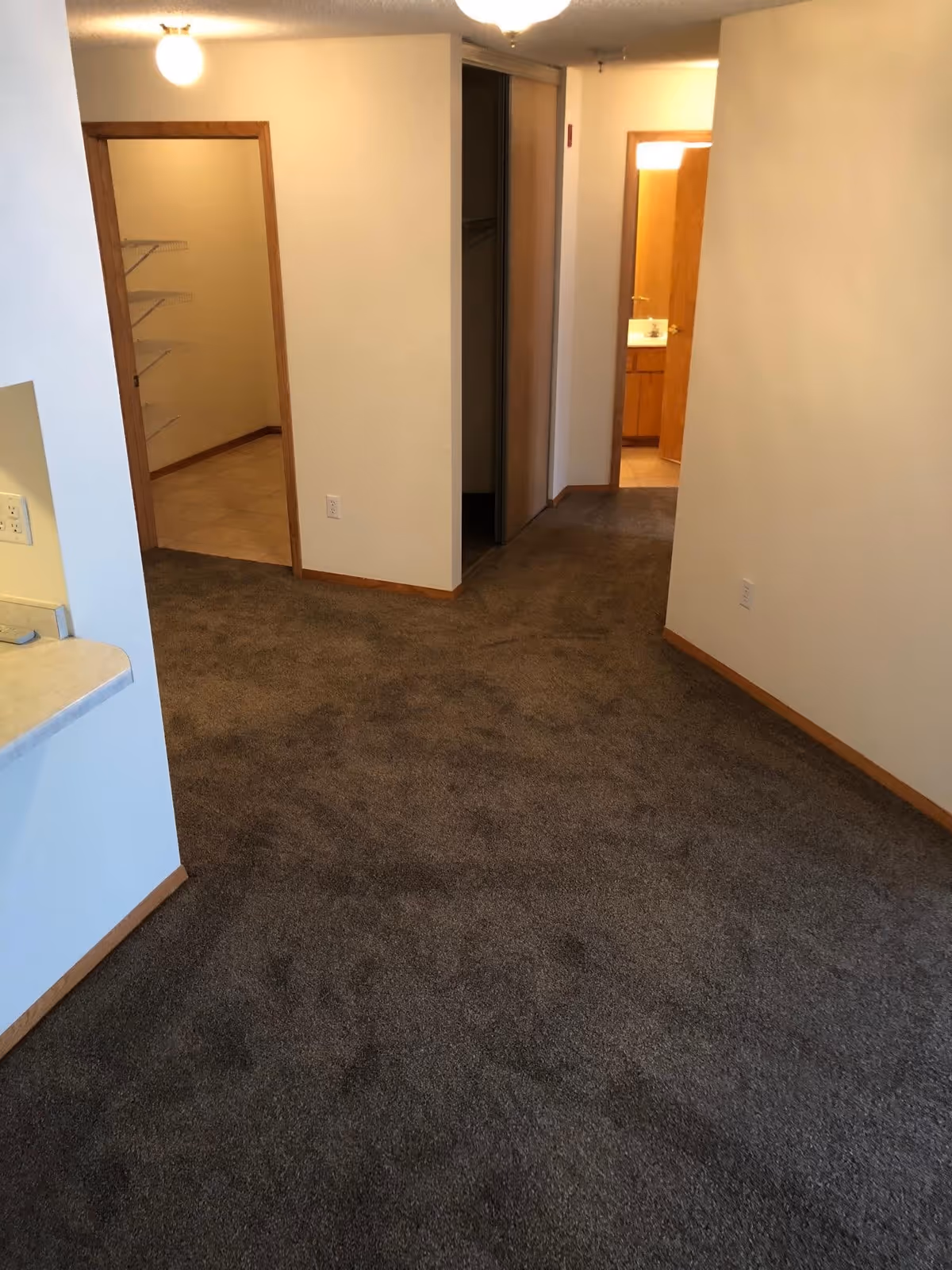 Interior view of a hallway with brown carpet leading to two open doorways. One doorway reveals a closet with wire shelving, and the other doorway shows a bathroom with a sink and mirror. The walls are painted white with wooden trim around the doors.