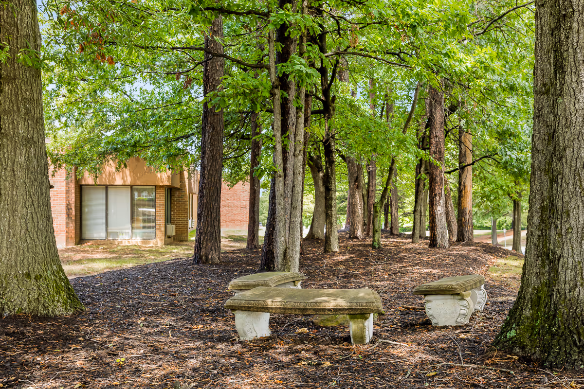 Outdoor area with several large trees and three stone benches arranged in a semi-circle on a bed of mulch. In the background, part of a brick building with windows is visible.